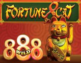 fortune8cat