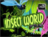 insectworld